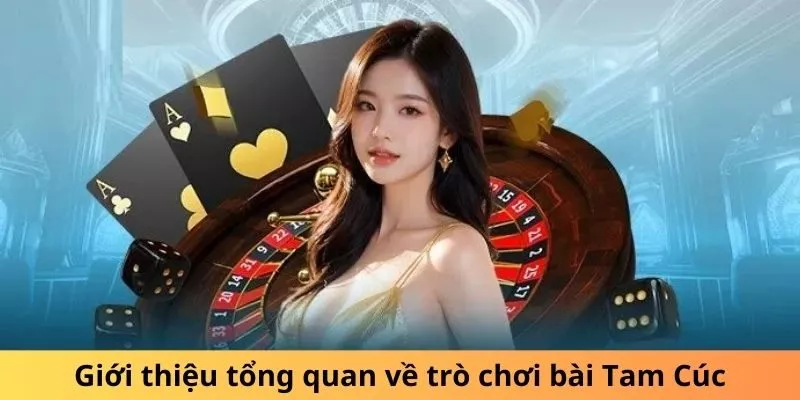 Bài Tam Cúc - Khám Phá Trò Chơi Cổ Điển, Tinh Tế Từng Nước Bài